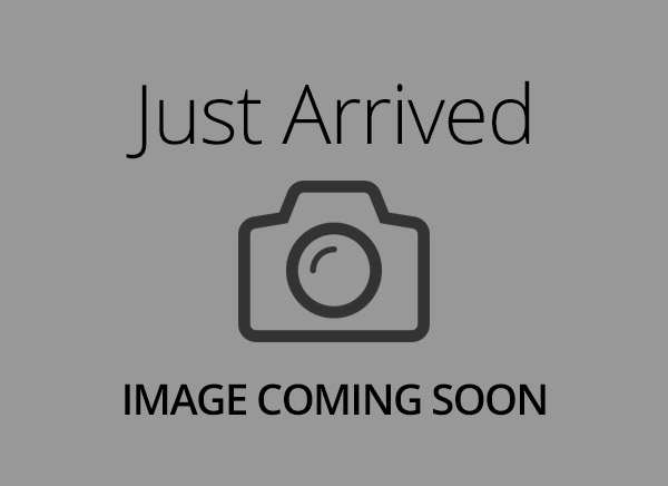 Pembroke Welsh Corgi-DOG-Male-Red White / Sable-2988233-XO PUPS