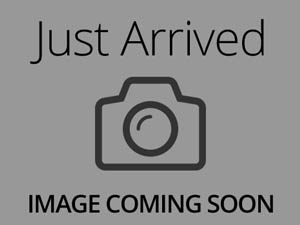 Pembroke Welsh Corgi-Dog-Male-Fawn-3705752-XO PUPS