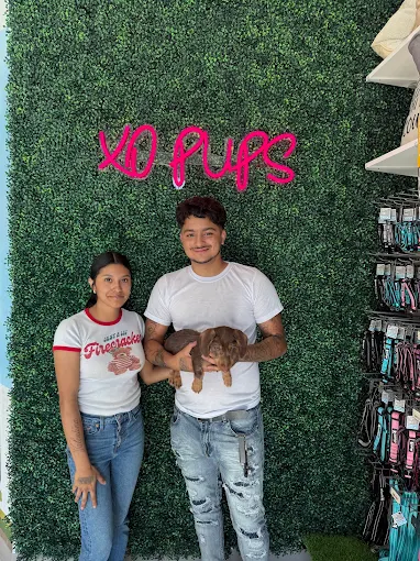 Two people holding a brown puppy beneath the XO Pups sign
